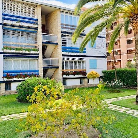 Book Mallorca II 萨洛 外观 照片