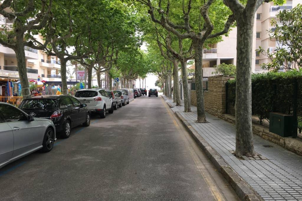 Book Mallorca II 萨洛 外观 照片